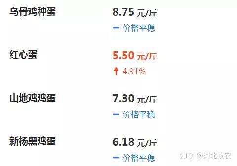最新蛋价探索，一场寻求内心平静的鸡蛋之旅