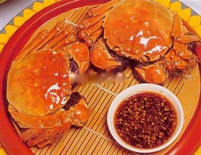 蟹总最新小说,蟹总最新小说，时代浪潮中的璀璨明珠