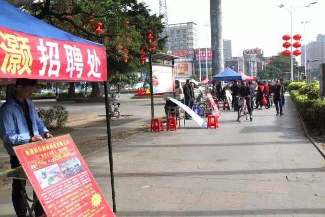 大朗最新招聘，求职奇遇记，爱与陪伴的旅程
