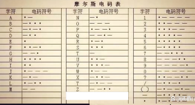 最新电码揭秘，温馨日常与友情魔力的神秘交织