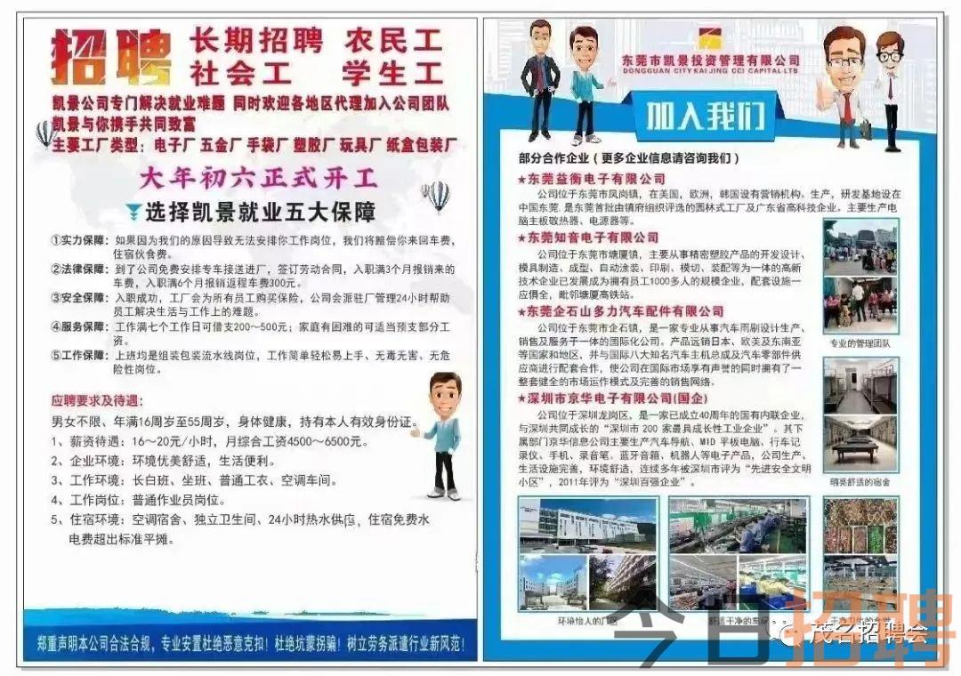 道真招聘网最新招聘,道真招聘网最新招聘，职业发展的理想选择