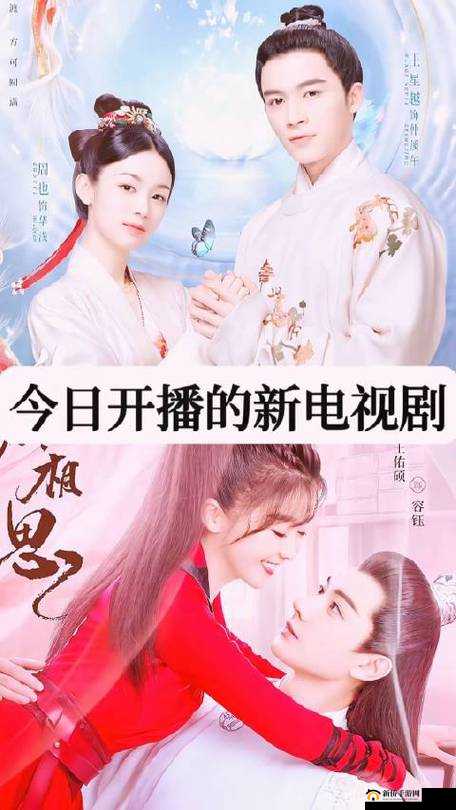 初学者与进阶用户皆宜，2019年最新电视剧观看指南