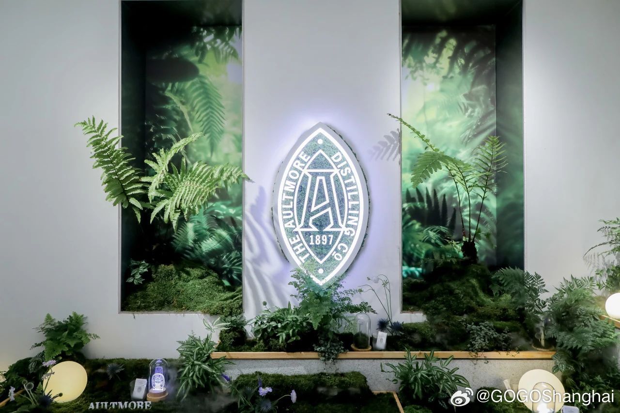 重磅推荐，全新3D过滤器最新版，视觉盛宴震撼来袭！