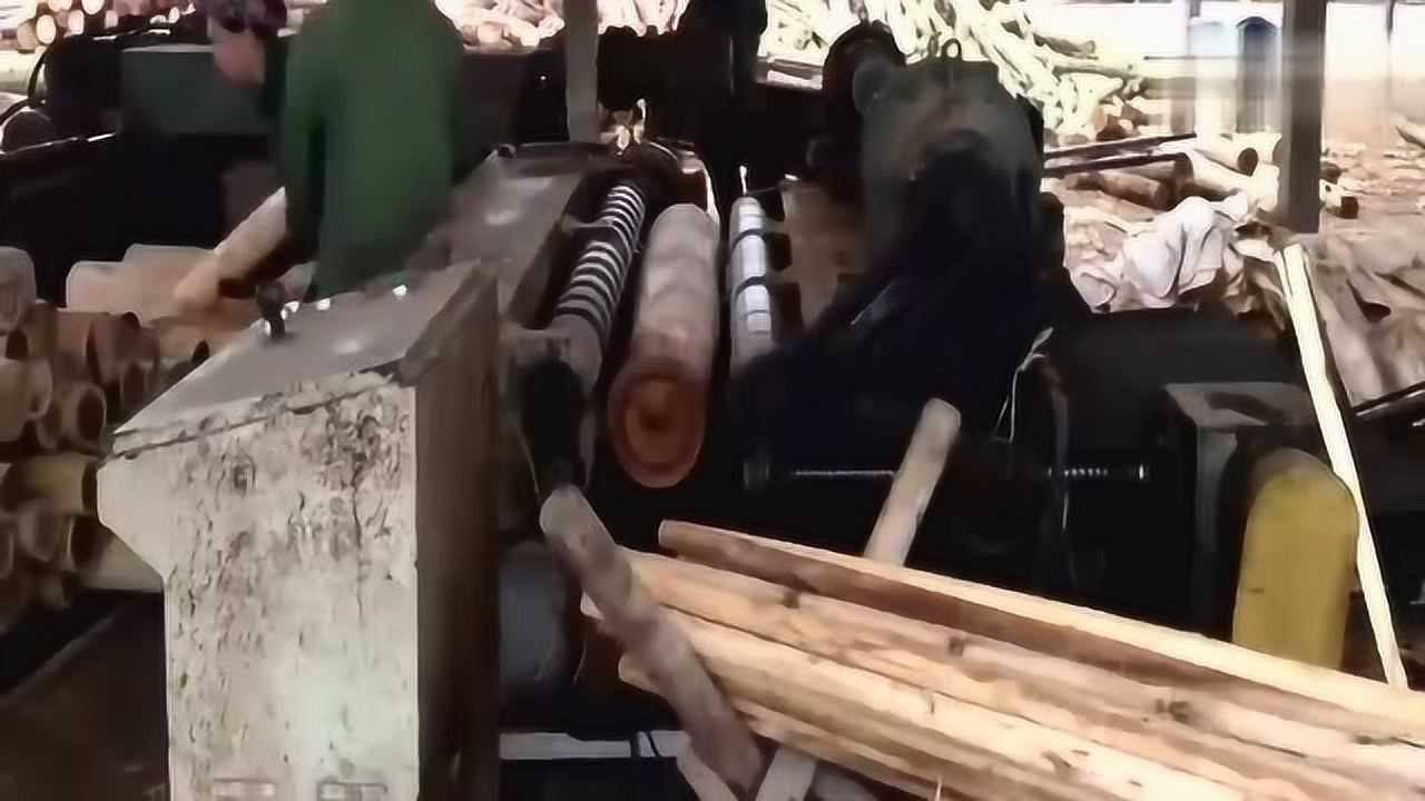 最新木材旋切机，探索自然美景的旅行必备伴侣
