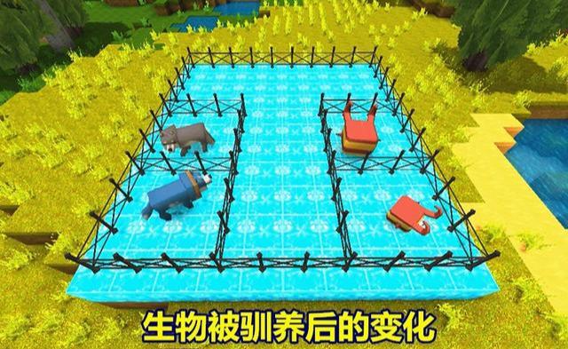 沙盘最新版，小巷中的隐藏瑰宝揭秘
