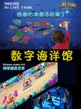 数字海洋的奇遇，最新黄网站免费与友情小船的交汇