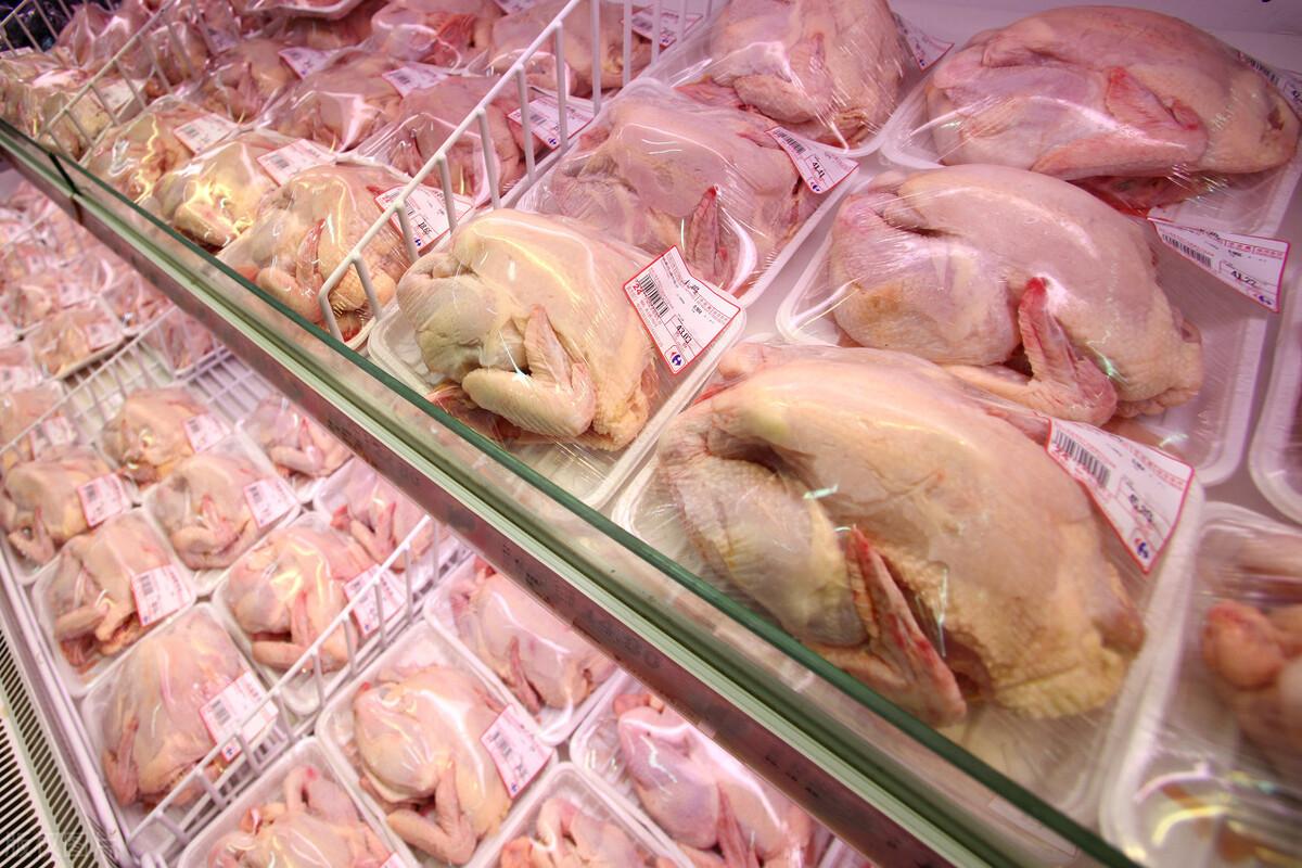 肉毛鸡最新行情概览与价格指南