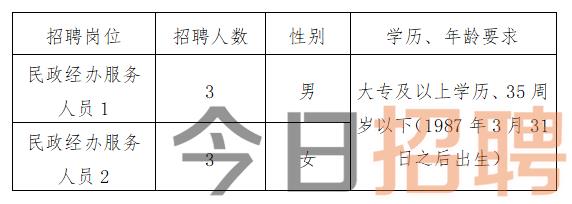 益阳市最新招聘信息详解，快速获取与申请攻略