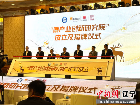 辽宁新闻最新动态更新