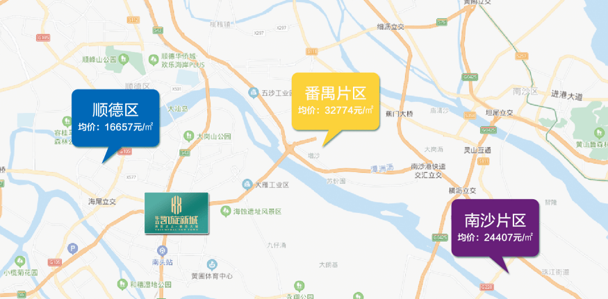 猎豹最新动态，日常故事中的温馨与进展