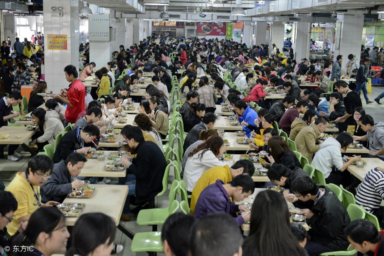 东莞市电子厂最新招聘启事，技术人生的新起点，拥抱学习与变化的魅力之旅
