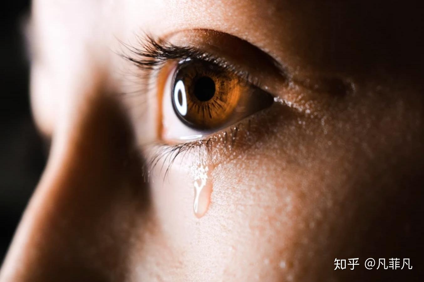 眼外伤眼球破裂伤最新治疗探索，小巷深处的眼科秘境