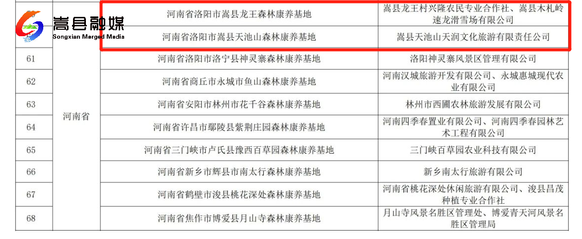 嵩县吧常建松最新消息指南，初学者与进阶用户的步骤指南