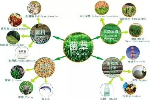 六房间小米米最新视频，学习拥抱变化，自信闪耀的青春力量
