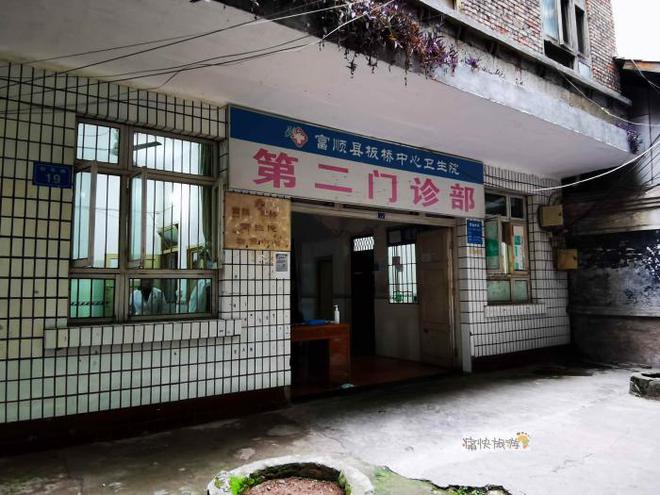 富顺县板桥镇最新发展动态深度解析，影响与展望