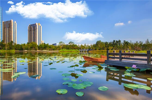 张浦公园壹号最新动态，自然美景探索之旅，内心宁静的启程地
