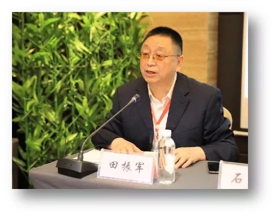 中山大学罗俊最新动态揭秘，与自然美景的奇妙之旅，探寻内心平和之境