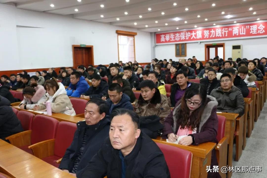 黑龙江中药饮片招聘启事重磅发布，最新职位推荐与求职指南✨