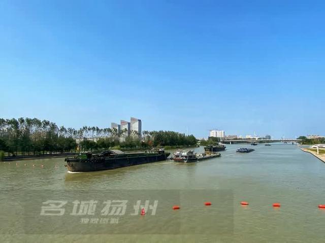 高邮八桥扬大最新进展详解与任务步骤指南